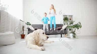 <strong>兄妹</strong>俩在客厅的沙发上跳.. 金毛猎犬躺在地板上。 家庭生活